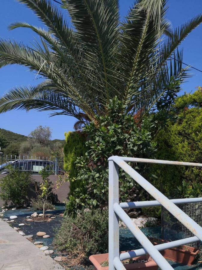 Nea Iraklitsa Menta Apartment מראה חיצוני תמונה